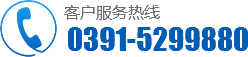 0391-7431555